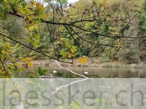 2023.10 Bad Schinznach